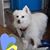 Pam Carman's profile image