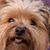 Jessie Brown's profile image