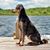 Brittany Dubien's profile image