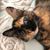 Karen Lindt's profile image