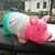 Sally Tacionis's profile image