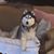 Christine Marcella's profile image