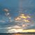 Christine Atkins's profile image