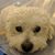 Nitsuga Phille's profile image