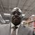 Frederick Davis's profile image