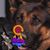 Paula Thomason's profile image