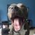 Cande Cassidy's profile image