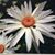 Debbie Valo's profile image