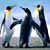 Kimberly Williams's profile image