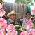 J.j. Hernandez's profile image