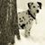 Loretta Lori Swanson's profile image