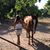 Melynda Crawford Hurst's profile image
