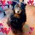 Lynda Daigle's profile image