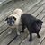 Ruthann Wagoner's profile image