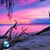 Sabrina Hartman-Fauver's profile image
