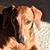 Lois Sauer's profile image