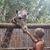 Amy Barder McMahon's profile image