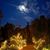 Kristen Franklin Heiderstadt's profile image