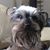 Teresa Spinazzola Ramey's profile image