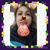 Adlaremse Ateirra's profile image