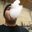 Albert D's profile image