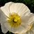 Francene Kimak Weinhoffer's profile image