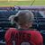 Alexandra Hayes's profile image