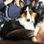 Linda Watson's profile image