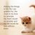 Bella Donna Doolittle's profile image