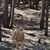 Karen Drost Hensley's profile image