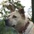 Shawn Bohl's profile image