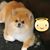 Shelly Badgley-Reed's profile image