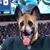 Sherrill Helms Mullenix's profile image
