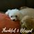 Htiduj Ocsalev's profile image
