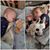 Dave Sparby's profile image
