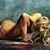Michele Logins's profile image