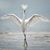 Kathy Adams's profile image