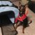 DeeDee Hughes Alwine's profile image