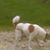 Rita Davidson's profile image