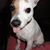 Joanna Paulson's profile image