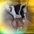 Vera Nika's profile image