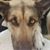Michelle Saengerhausen's profile image
