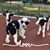 Pamela Cruce Boyd's profile image