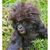 Angie Ebert's profile image