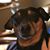 Bridget Collins Grady's profile image