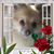 Trudy McDonald Sprecher's profile image