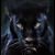 Samuel Irizarry's profile image