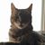 Crystal Bartlett's profile image