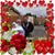Linda Hart Jacobs's profile image