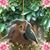 Tammy Johnson's profile image